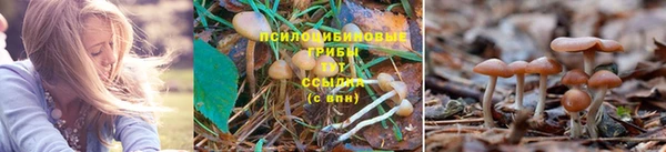MESCALINE Абдулино