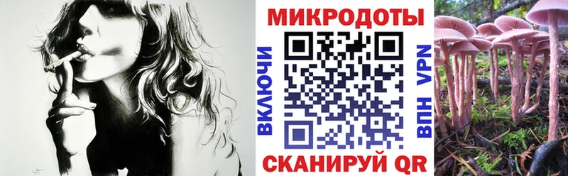 Псилоцибиновые грибы Psilocybine cubensis  Нижняя Тура 